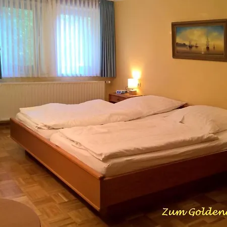 Hotel-restaurant Zum Goldenen Stern Otel 3*