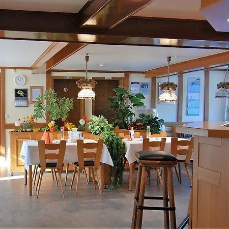 Hotel Hotel-restaurant Zum Goldenen Stern 3*