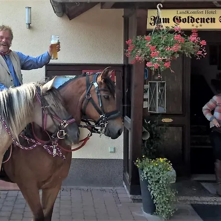 Hotel Hotel-restaurant Zum Goldenen Stern