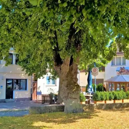 Hotel Hotel-restaurant Zum Goldenen Stern 3*