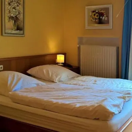 Hotel-restaurant Zum Goldenen Stern Otel