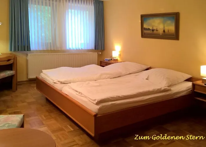 Hotel-restaurant Zum Goldenen Stern 호텔 3*