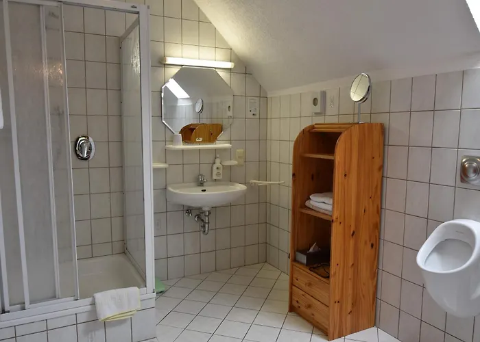 호텔 Hotel-restaurant Zum Goldenen Stern 3*