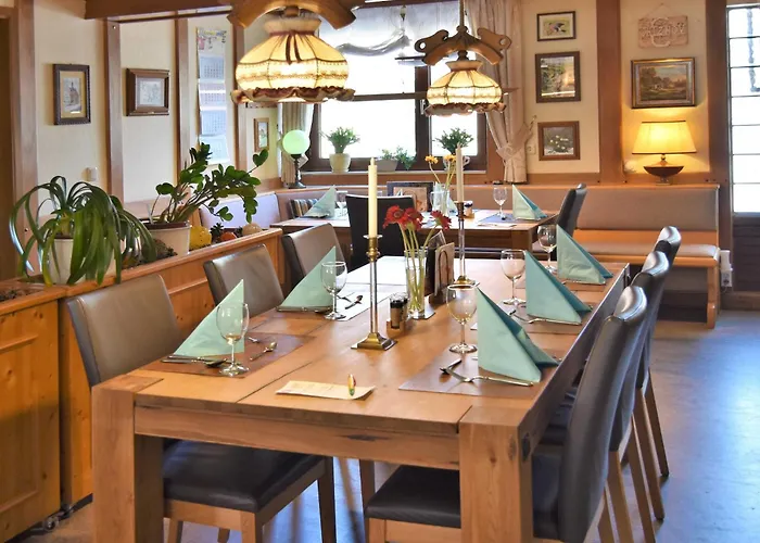 호텔 Hotel-restaurant Zum Goldenen Stern 3*