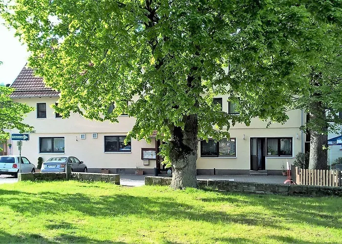 호텔 Hotel-restaurant Zum Goldenen Stern 3*