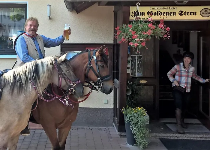 호텔 Hotel-restaurant Zum Goldenen Stern