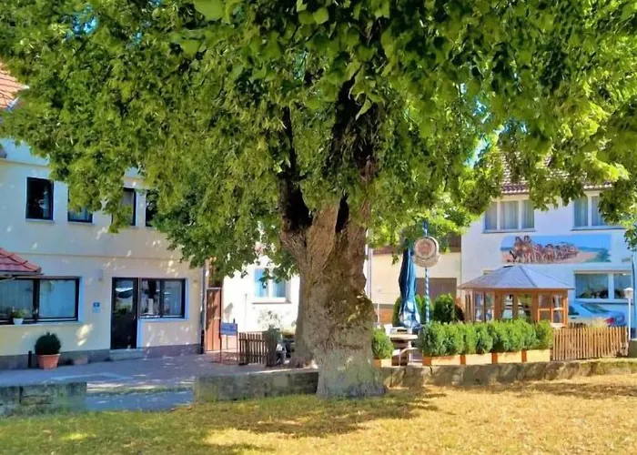 호텔 Hotel-restaurant Zum Goldenen Stern 3*